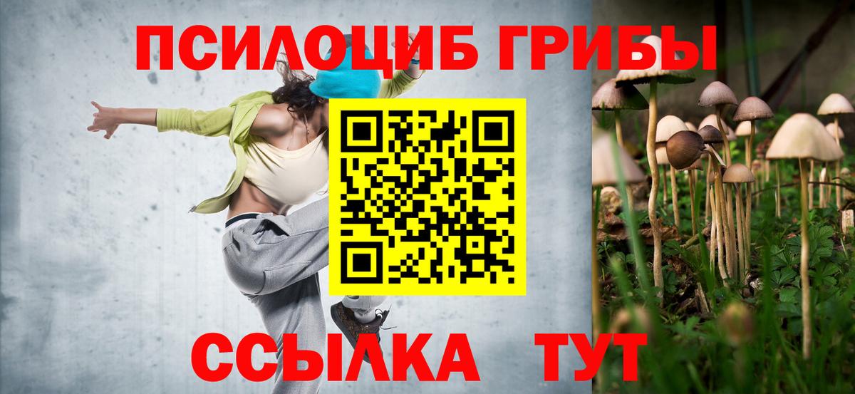 Псилоцибиновые грибы прущие грибы  Вход с VPN  Похвистнево 