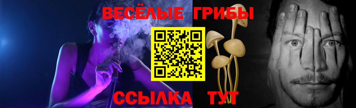 Псилоцибиновые грибы GOLDEN TEACHER Похвистнево